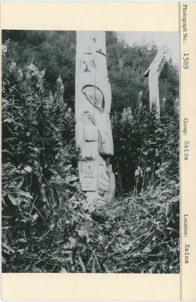 Image representing photograph.