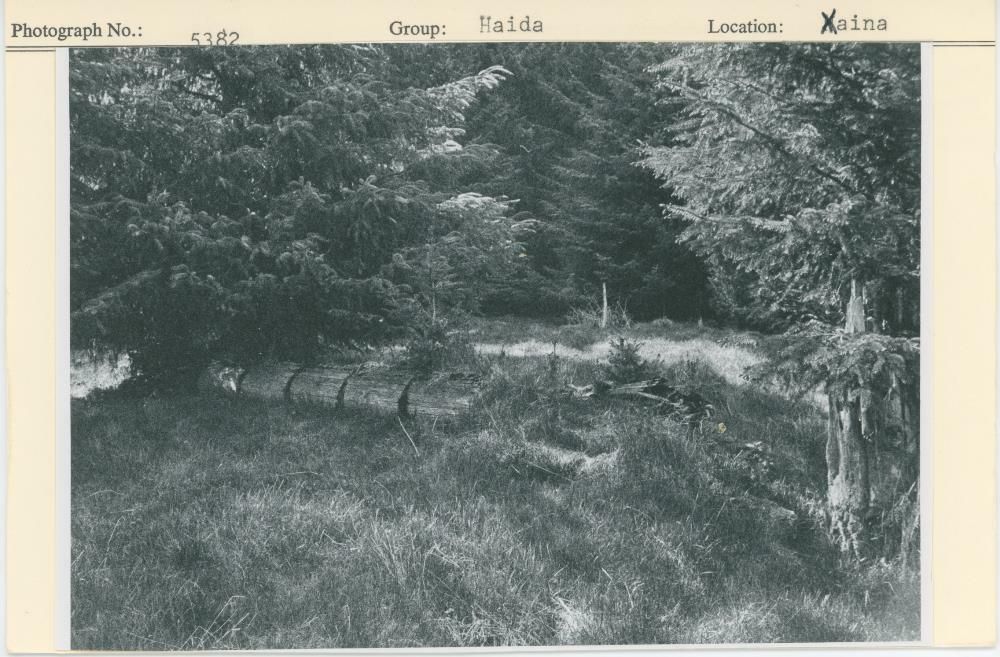 Image representing photograph.