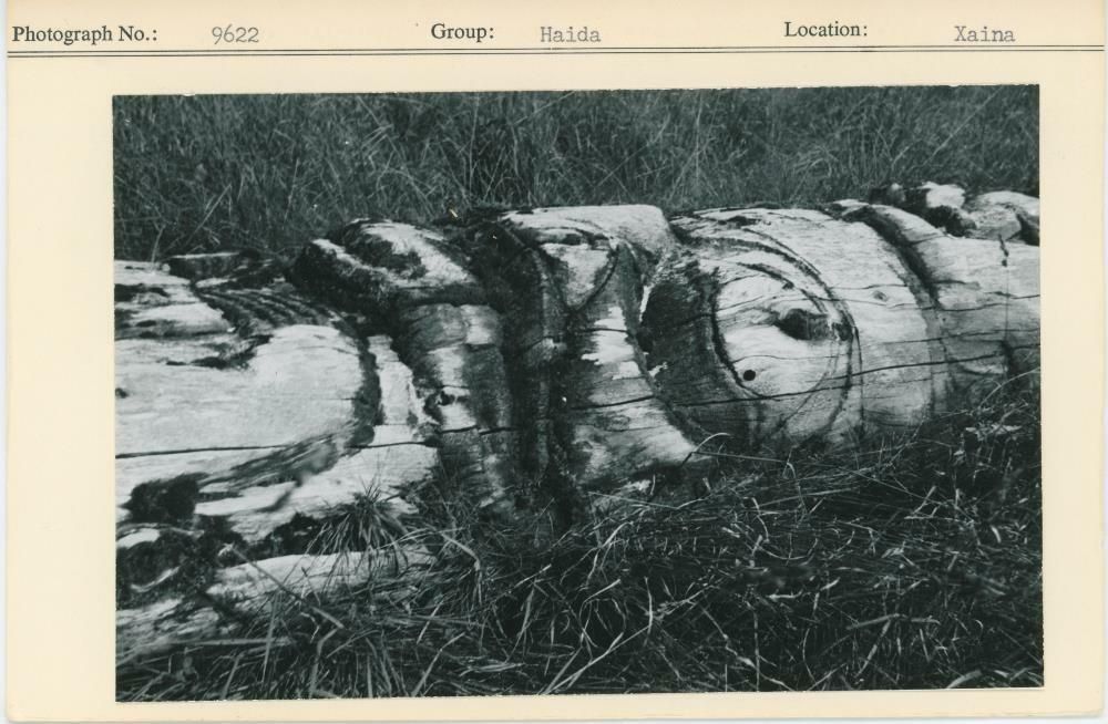 Image representing photograph.
