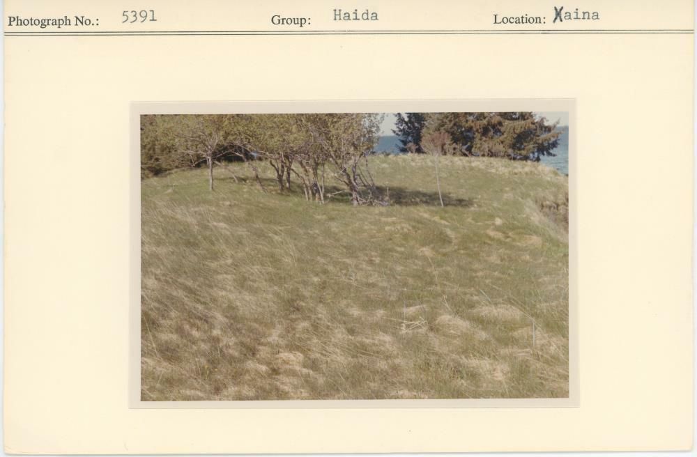 Image representing photograph.