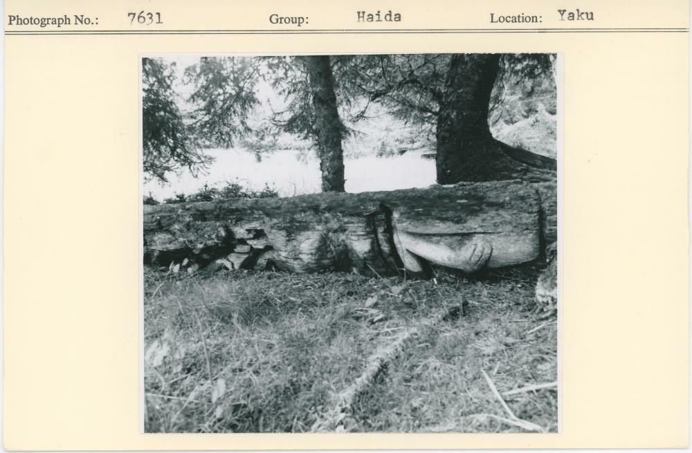 Image representing photograph.