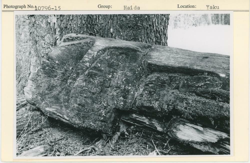 Image representing photograph.