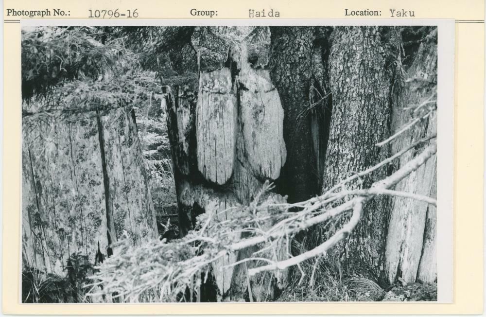 Image representing photograph.