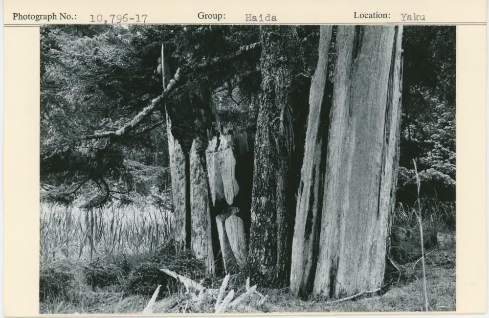 Image representing photograph.