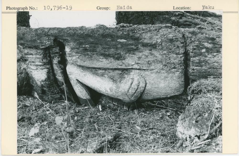 Image representing photograph.