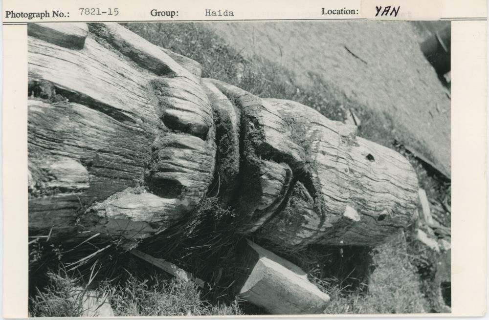Image representing photograph.