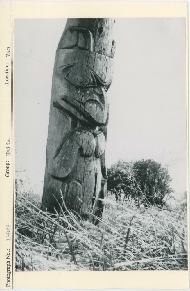 Image representing photograph.