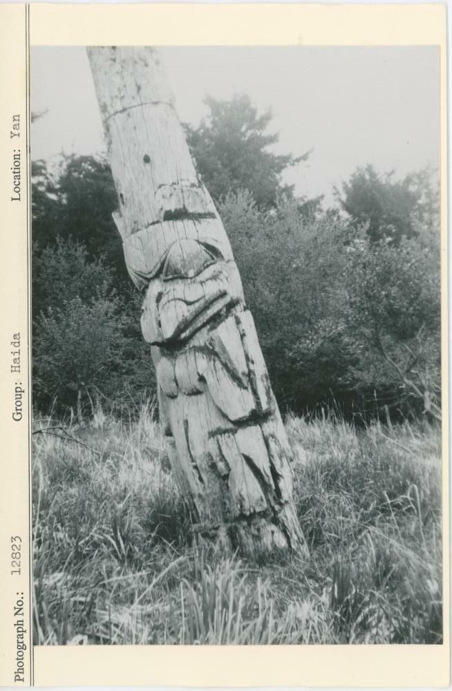 Image representing photograph.