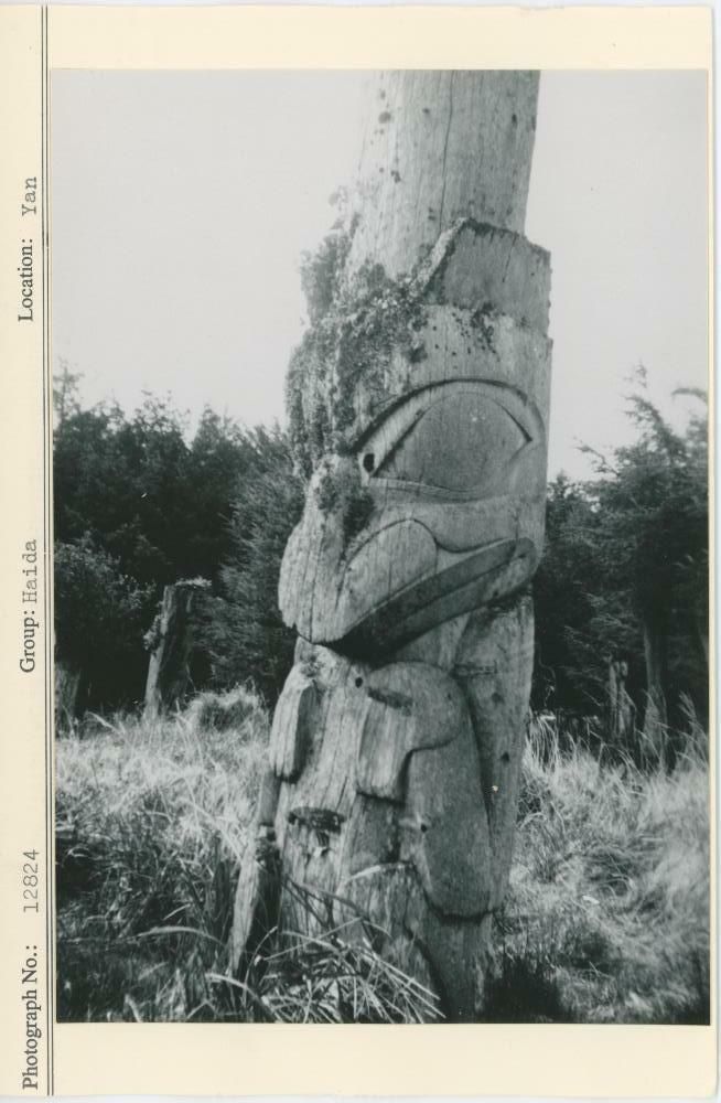 Image representing photograph.