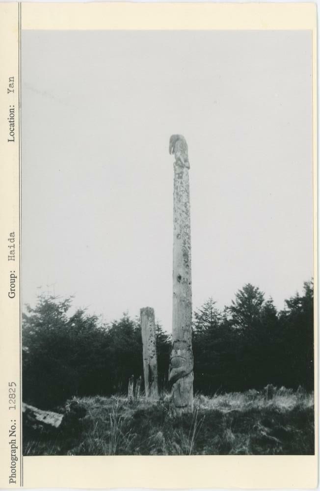 Image representing photograph.