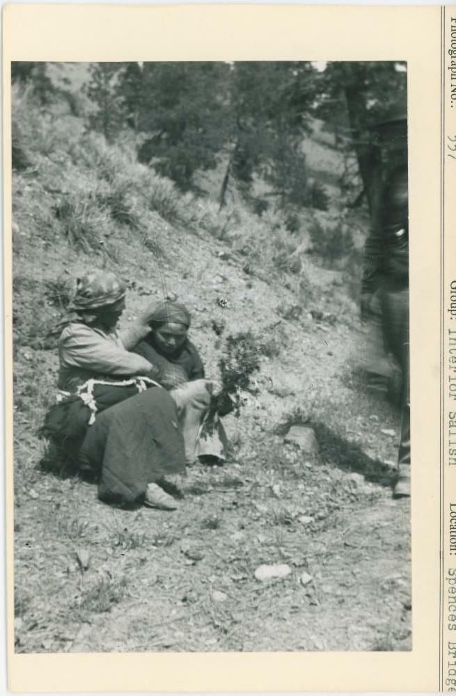 Image representing photograph.