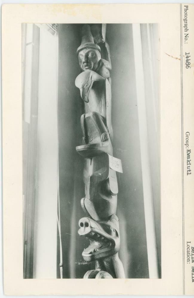 Image representing photograph.