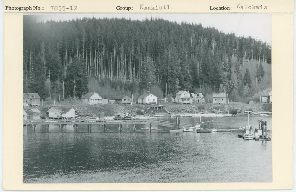 Image representing photograph.