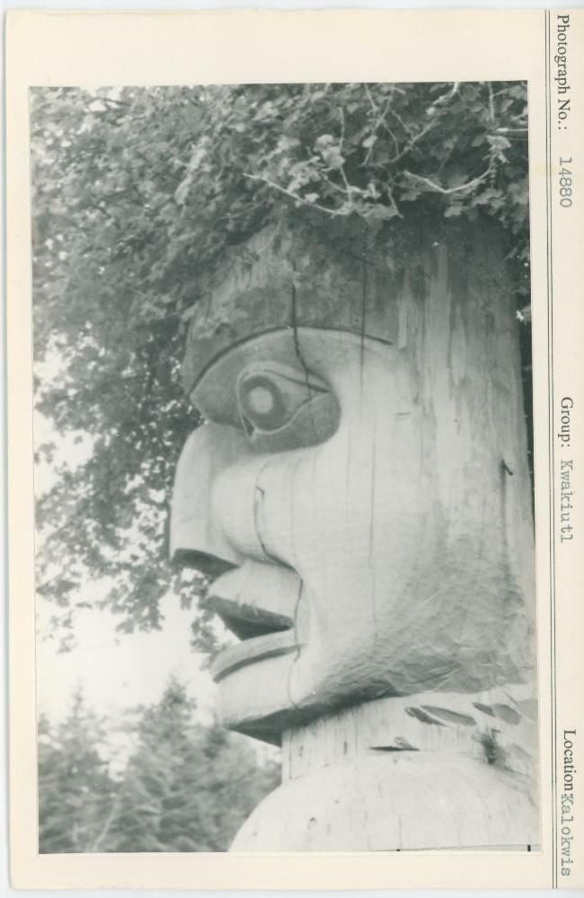 Image representing photograph.