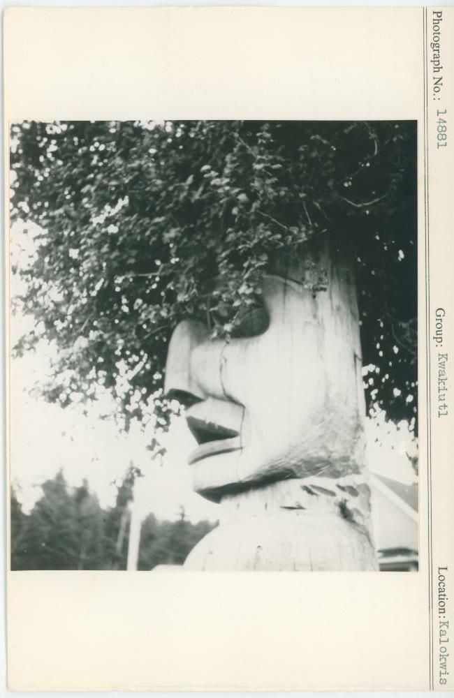 Image representing photograph.