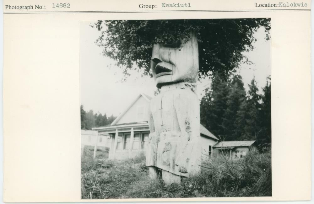 Image representing photograph.