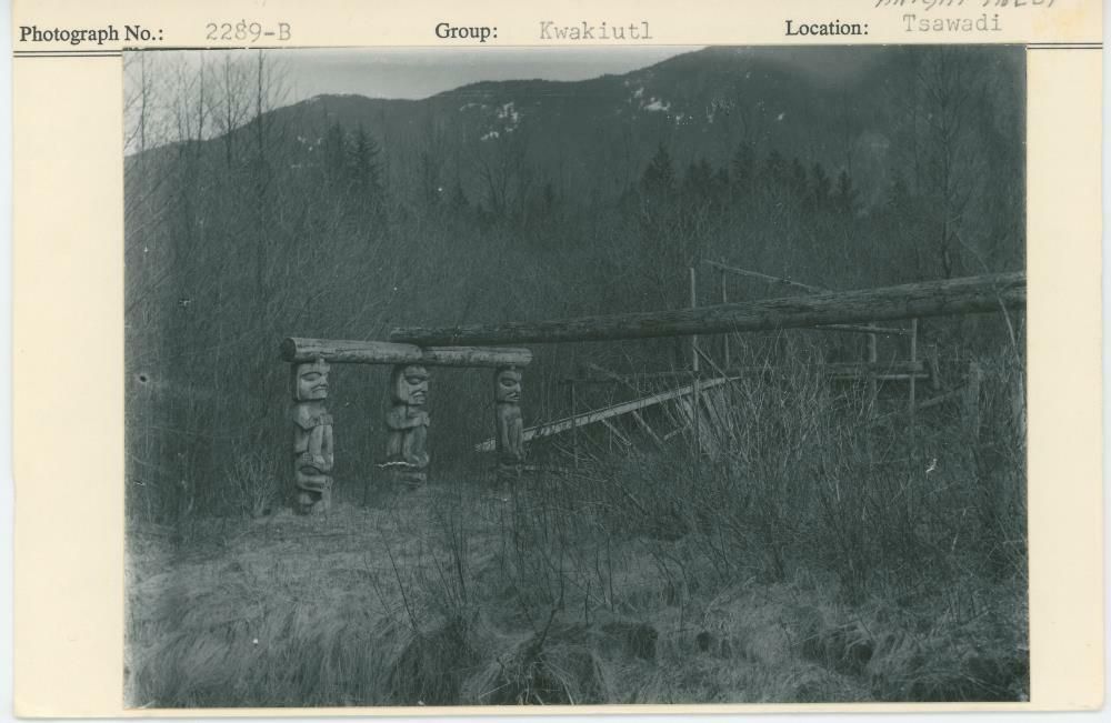 Image representing photograph.