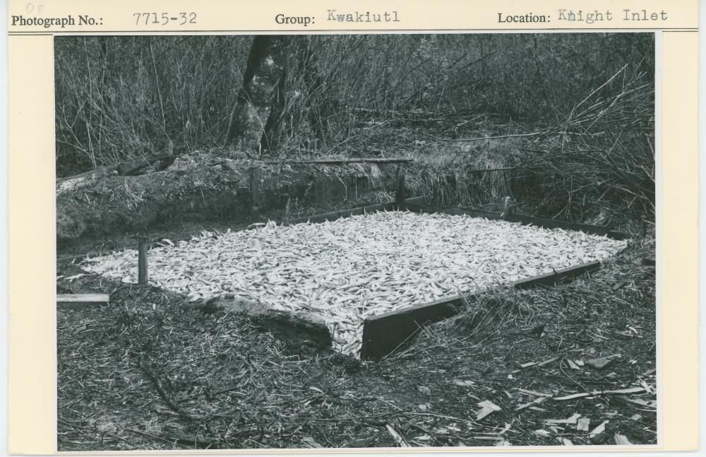 Image representing photograph.