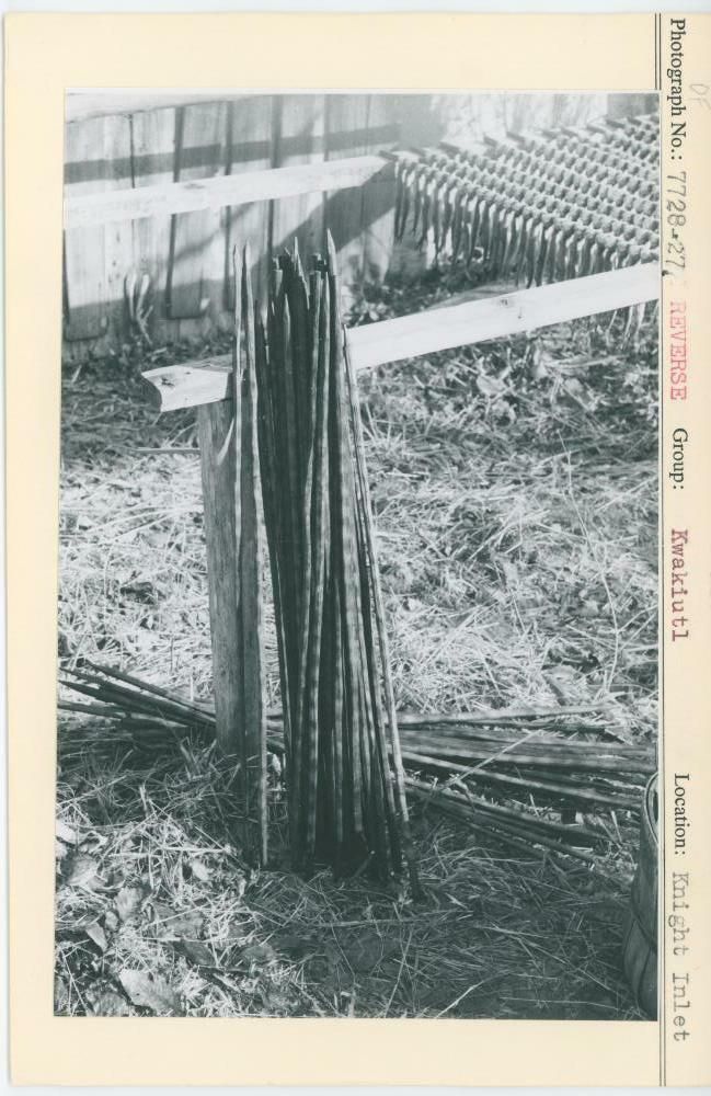 Image representing photograph.