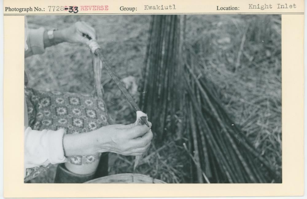 Image representing photograph.