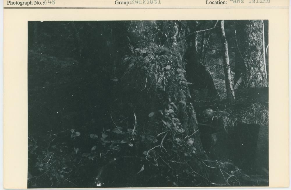Image representing photograph.
