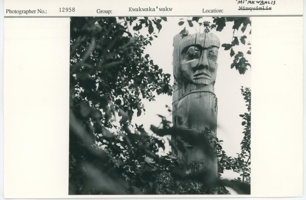 Image representing photograph.