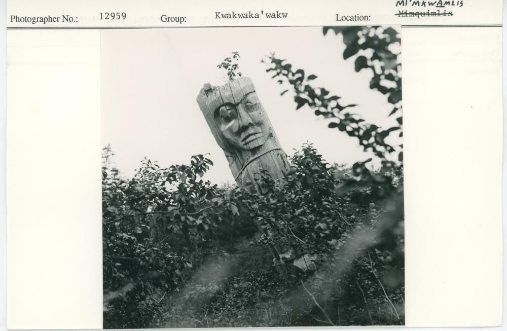 Image representing photograph.