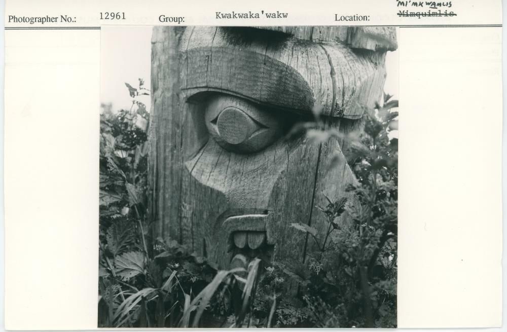 Image representing photograph.