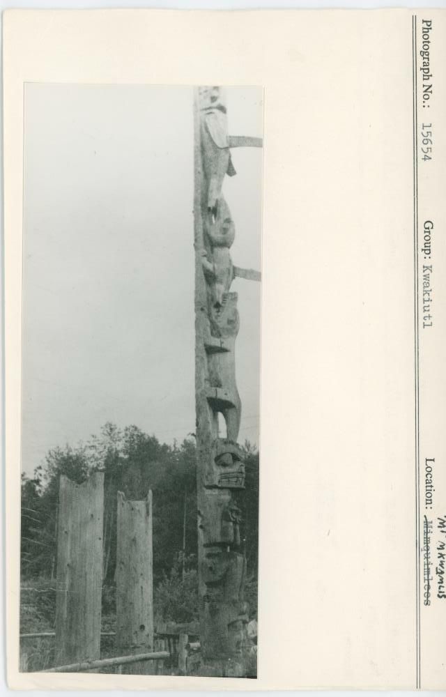 Image representing photograph.