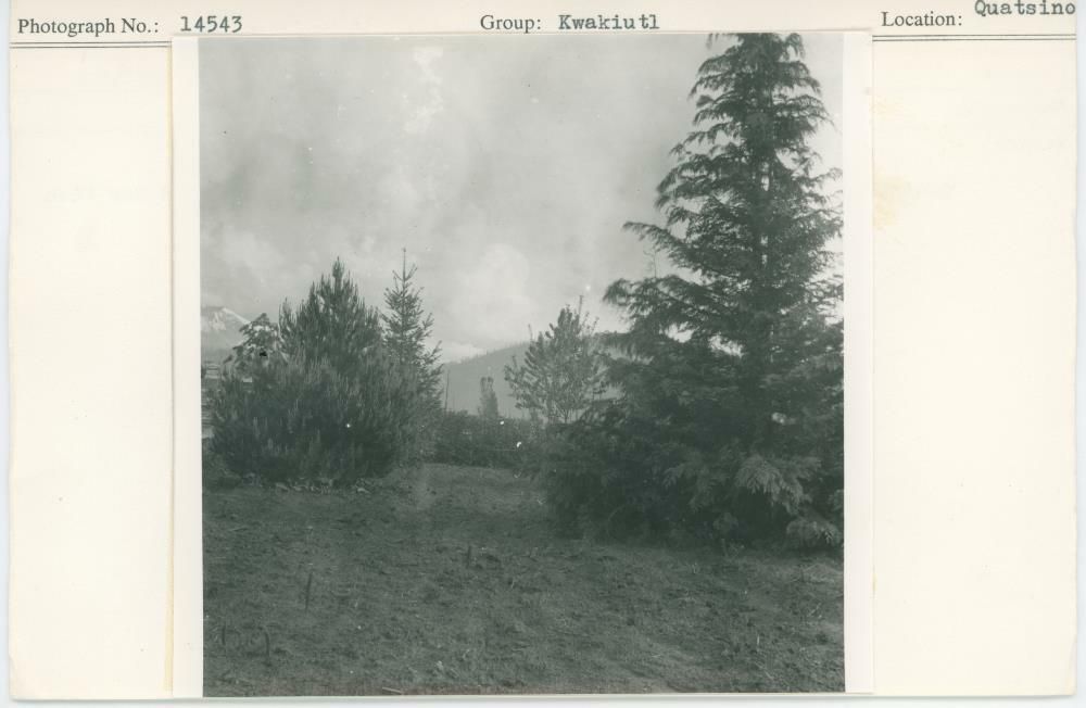 Image representing photograph.