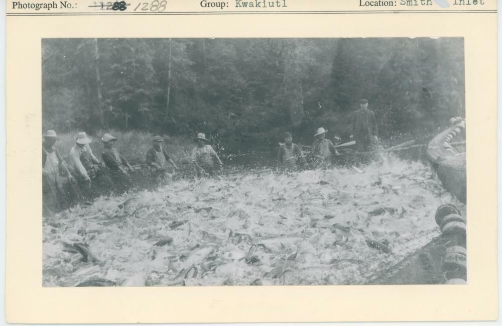 Image representing photograph.