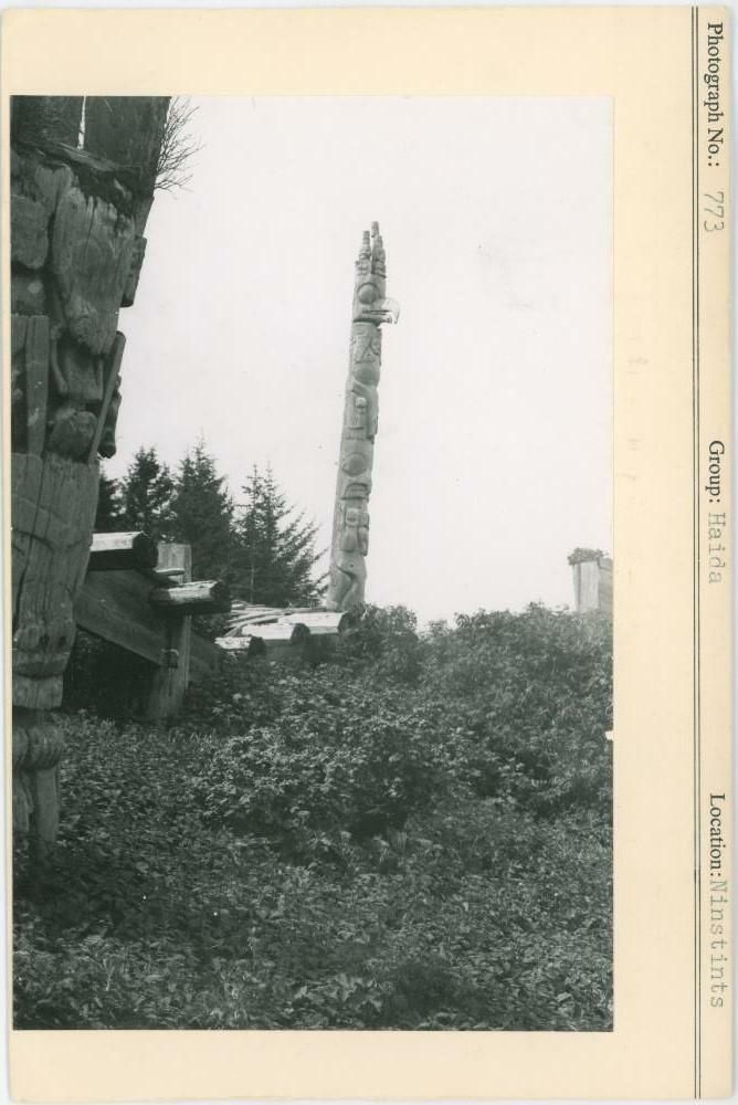 Image representing photograph.