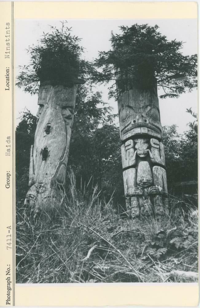 Image representing photograph.