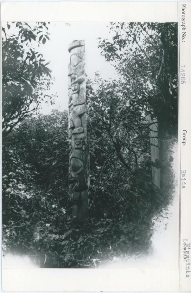 Image representing photograph.