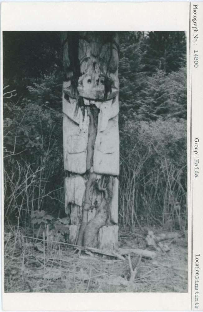 Image representing photograph.
