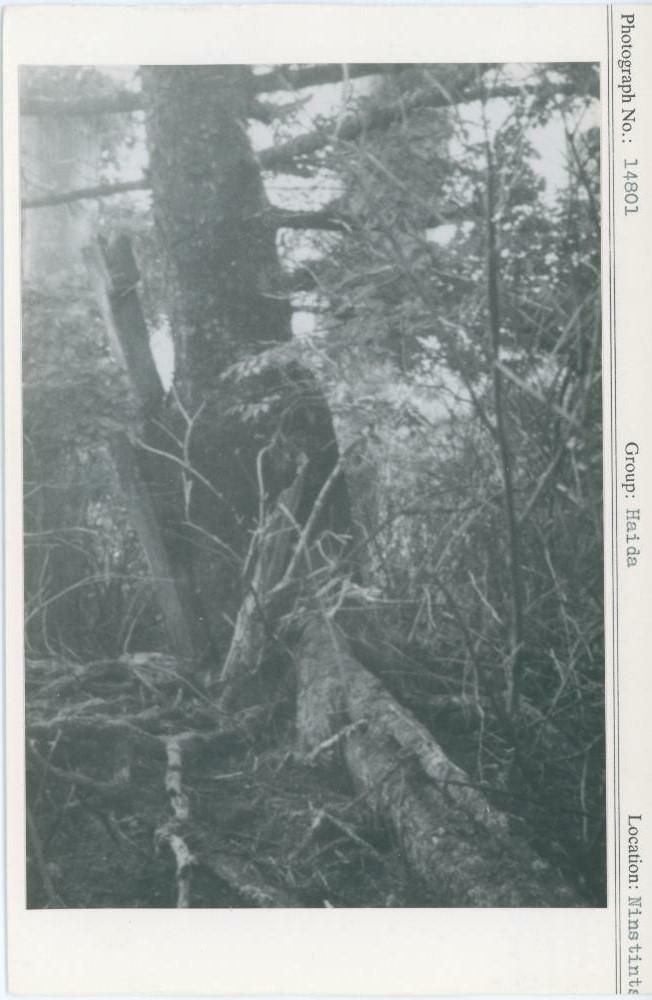 Image representing photograph.