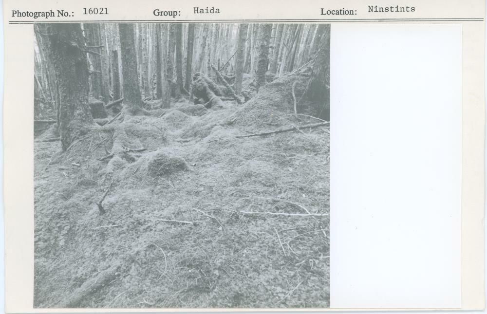 Image representing photograph.