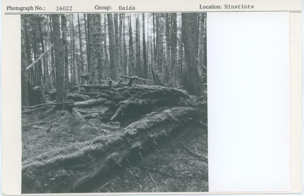 Image representing photograph.