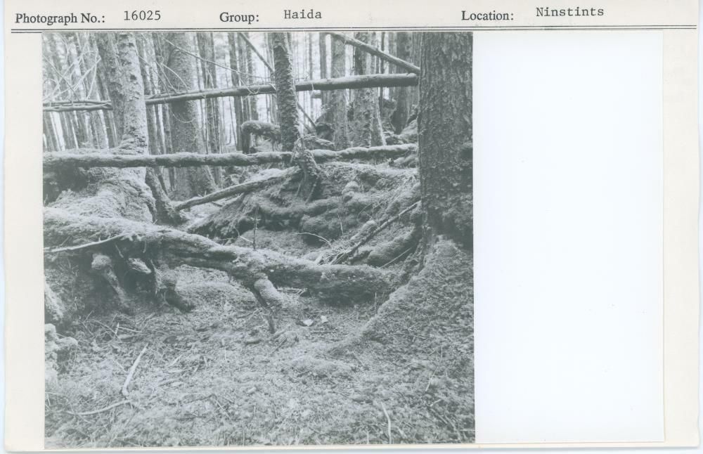 Image representing photograph.