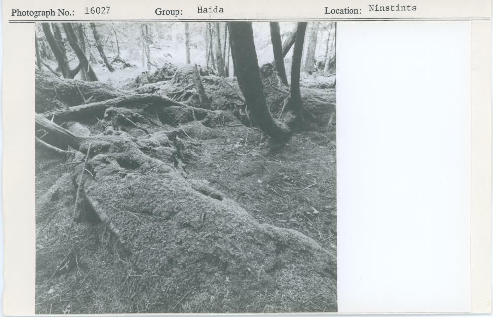 Image representing photograph.