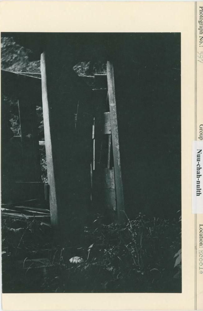 Image representing photograph.