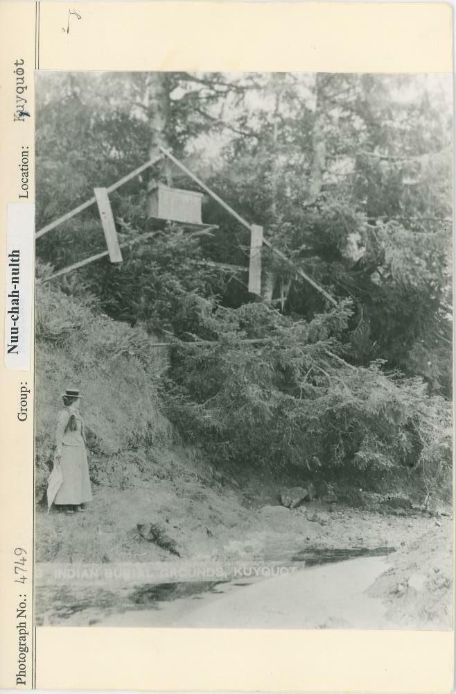 Image representing photograph.