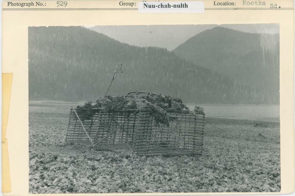 Image representing photograph.