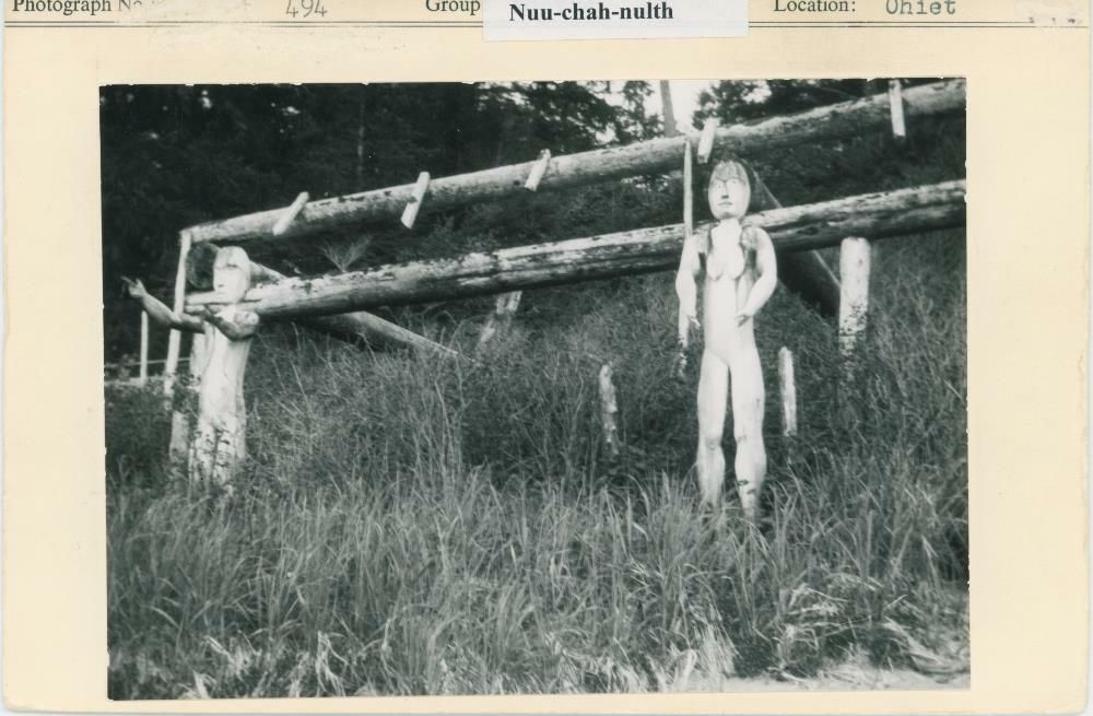 Image representing photograph.