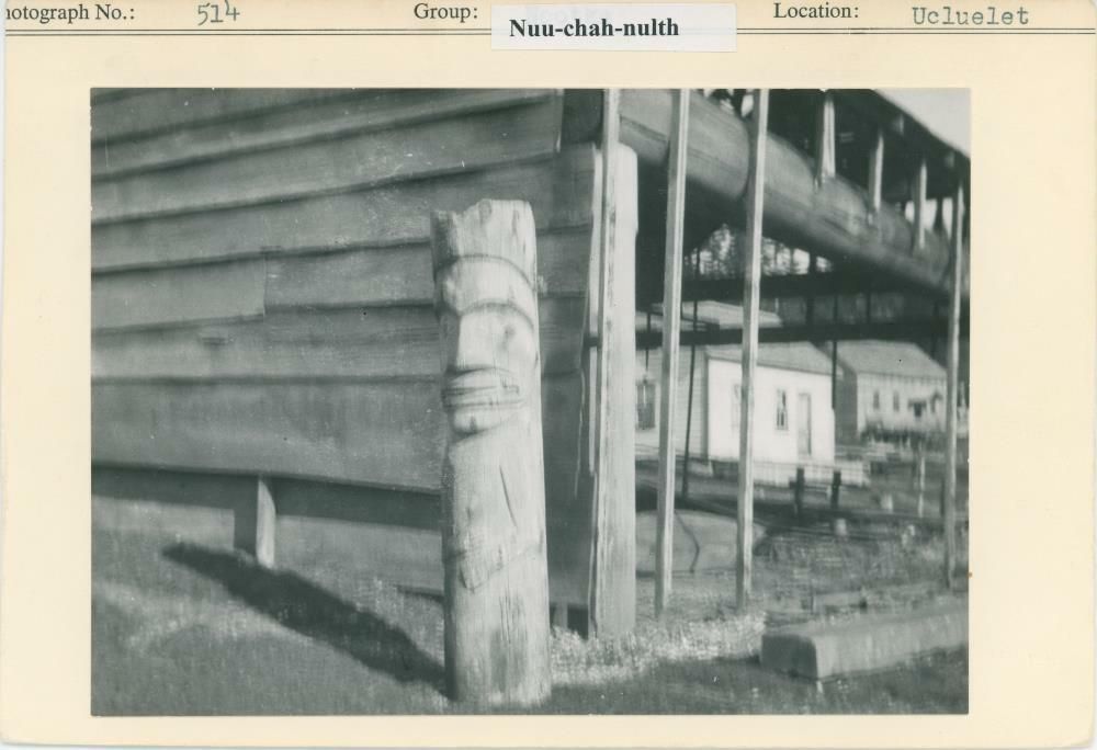 Image representing photograph.