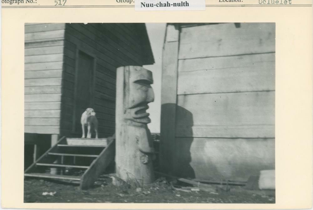 Image representing photograph.