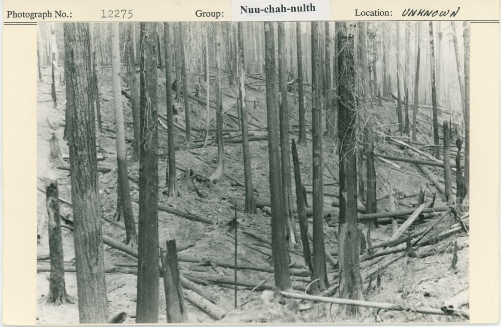 Image representing photograph.