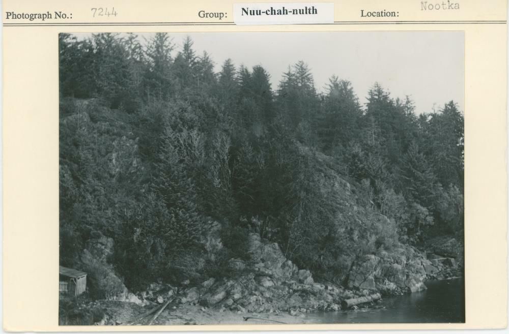 Image representing photograph.