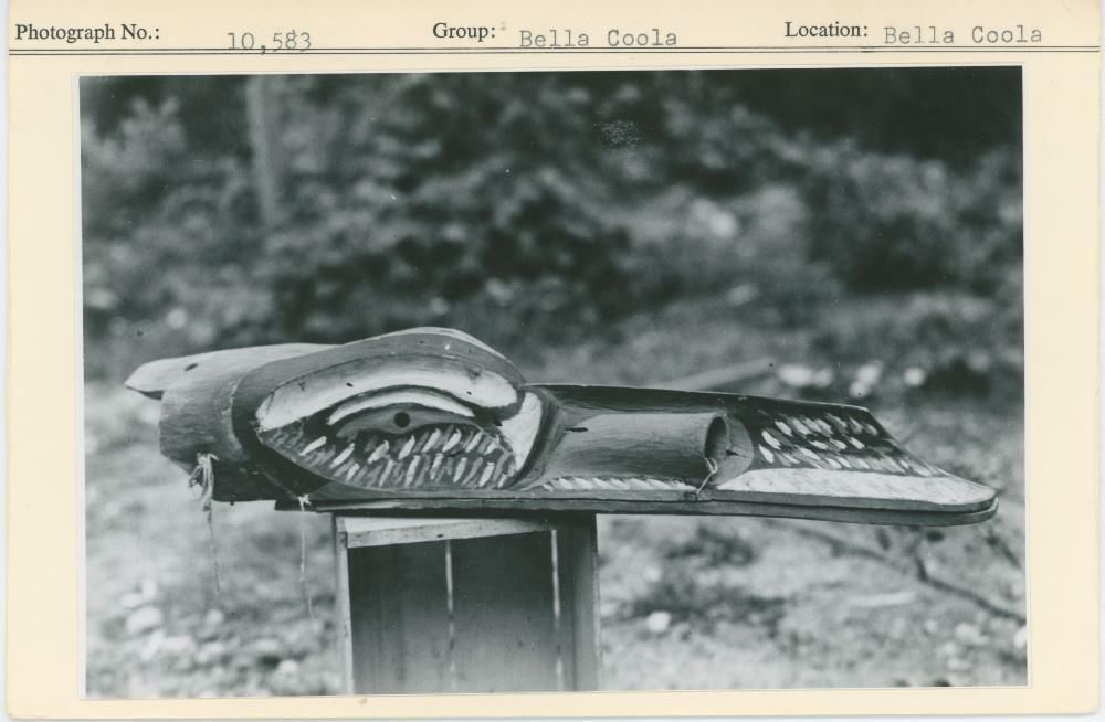 Image representing photograph.