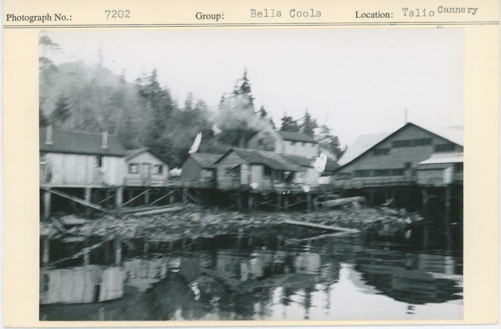 Image representing photograph.